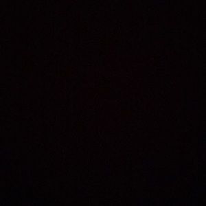 Meet your Posher, Timothy